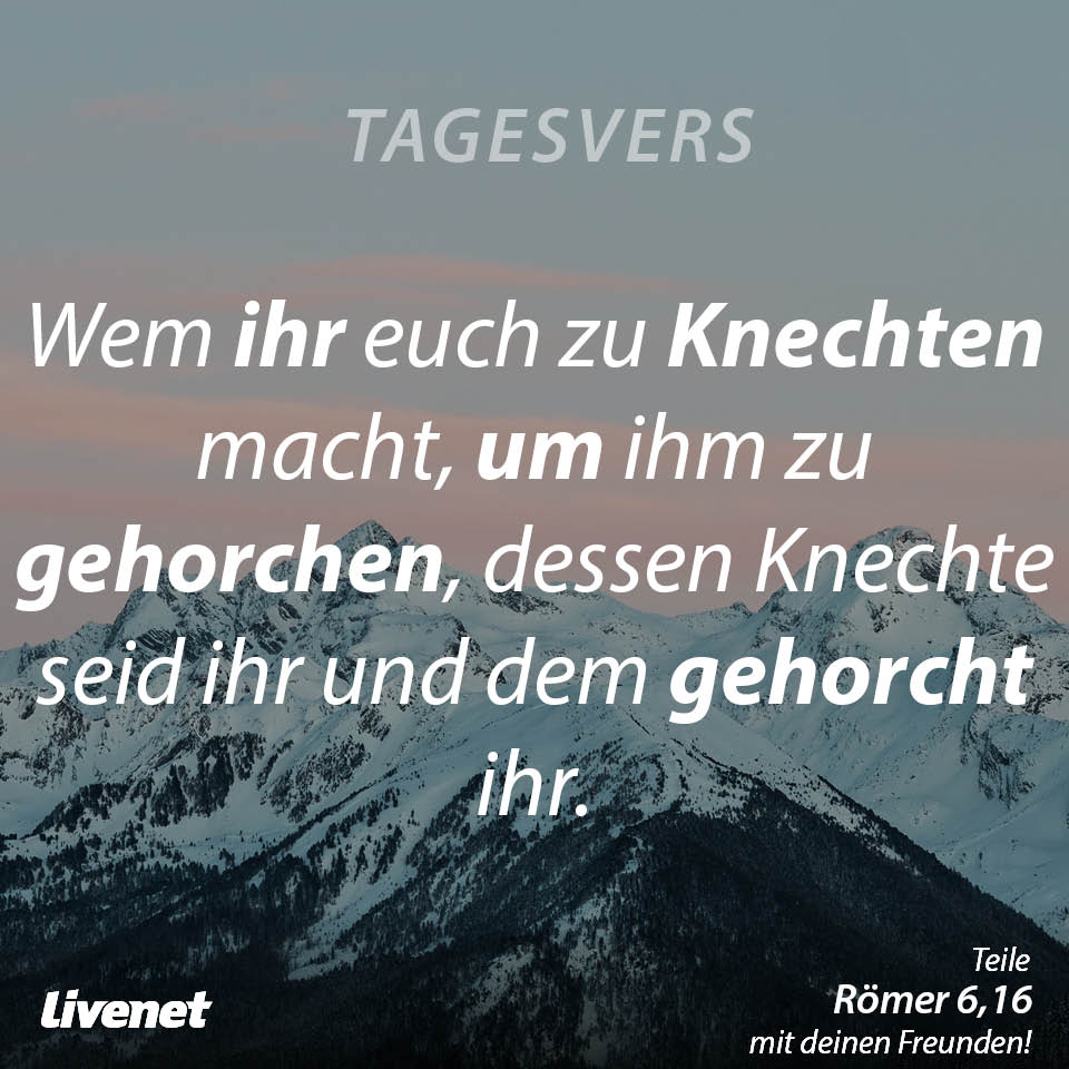 Tagesvers